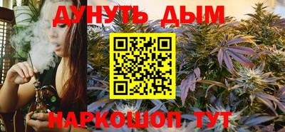 сатива Ставрополь
