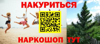 ГАЛЛЮЦИНОГЕННЫЕ ГРИБЫ Славгород