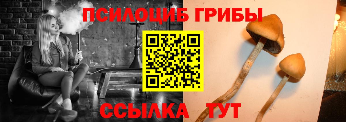 Галлюциногенные грибы Cubensis  Вход с VPN  Новокубанск 