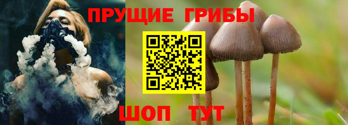 Галлюциногенные грибы Cubensis Новокубанск
