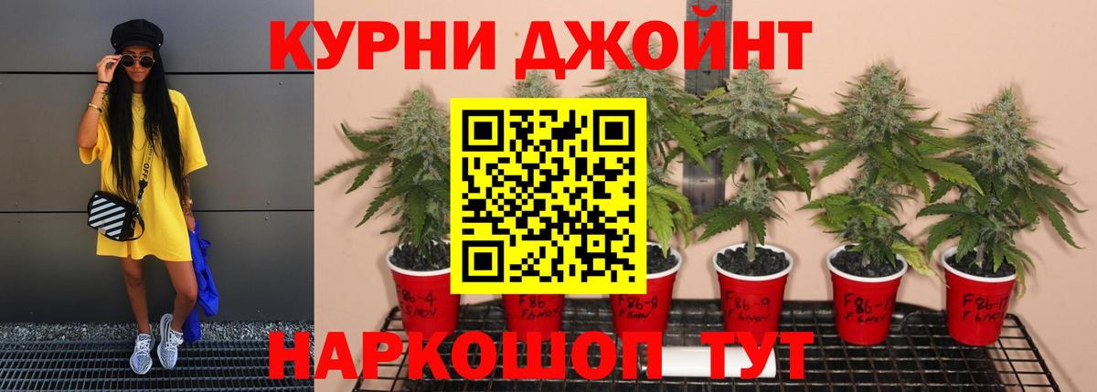 Бошки марихуана планчик Новокубанск