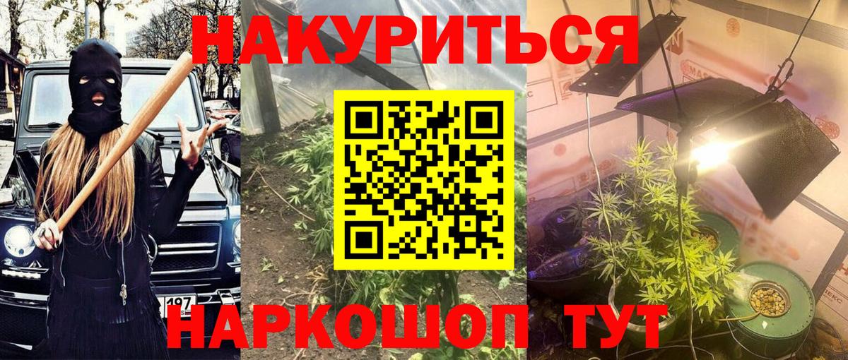 Бошки Шишки сатива  Каннабис AK-47  Новокубанск  Вход с VPN 